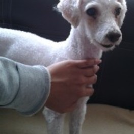 D 15b13330 353c 4ff2 a1f0 7a52a01cd9d7