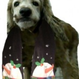 D 17b9c6bd 9317 437e b030 2484266c3b0b