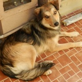 D 603c9b20 8f3b 4365 9329 bfe5dfc6cfb5