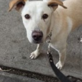 D b70c0f1b 29bb 4ecd 8ea1 70f0665b36cc