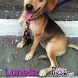 D 8caf5c1f 4e78 492b 9405 a095cfabdff0