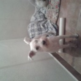 D 16647572 8663 400b 8acb 5fdca83f30d7