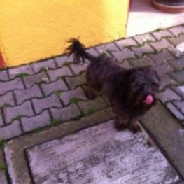 D e1ea3250 6896 4f97 890d bb2d8cf5b451