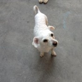 D c54e97f2 499f 4666 983a 1fafa2819774