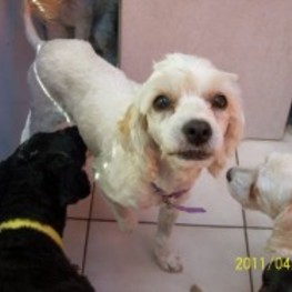 D f4327098 23a7 4aee b84d 46d0dfb127a5