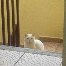 D d0b05cba 3936 4d0d ac9f a4497e72e9ec