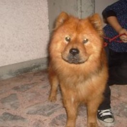 D 58ee932b 916a 4fc3 b026 929e14e86bd8