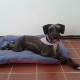 D 90be000d 2881 46b5 93d6 24eabc505c16