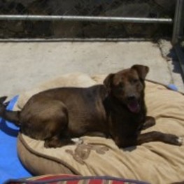 D 9f2984e5 a386 4b71 8785 483a5efcdbcb