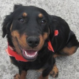 D 68f2ea0e 42a9 40fd 927f a7feddadf41f