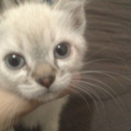 D eee827eb 04e3 4965 949c 43b7a5327944