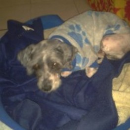 D d02a1420 402d 4c0a 9a94 ab0c7131bee2