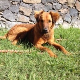 D bd100287 6c44 420a 8f03 1e7c18023ed9