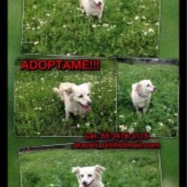 D 4a103733 8a52 468e b576 ba82c50eca53