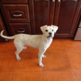 D b38cc3d3 fd9e 422d 81e4 3bd780485892