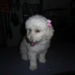 D 2d864ba7 4fb4 4eb7 af1b a0f78b748f12