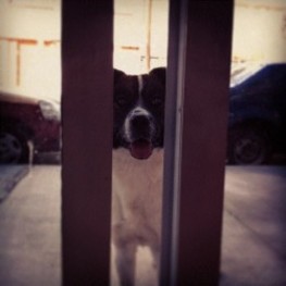 D 0aa0db12 61e7 4117 b608 2d9145bb83b6