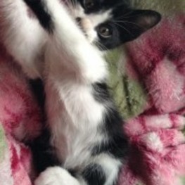 D 027db27c aaaa 4cc6 8362 a2efcb835758