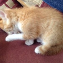 D 18a69804 ba41 4ab6 a433 e4df3bc88ad8