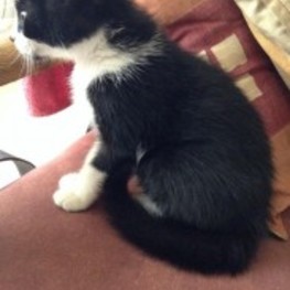 D b6143697 2d11 40bd afdf fe8b7b3650eb