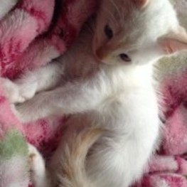 D 8bc14972 d57b 4b27 9dcf 750d951ab847