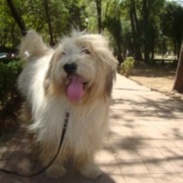 D 58b98867 c56e 445b 818a 611ca6e96a7d