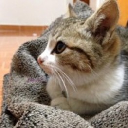 D 14bc0660 de34 49b1 8b82 441b95e7a2d6