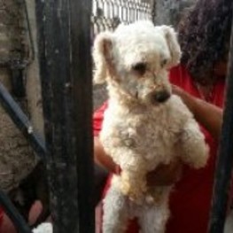 D 883a58cb dc31 4d5a b170 aa3dd068fb4c