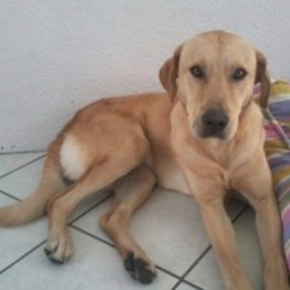 D 453edfce 0821 4a91 8204 5898ce8bed20