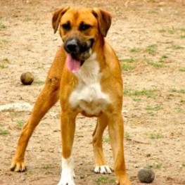 D c1229733 dc50 4dfc b6b7 243a16c6b404