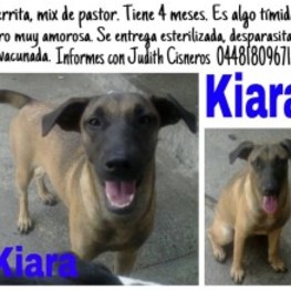 D ae37658b 6d5b 417c 8698 b4b77fddb451