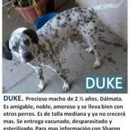 D 63613404 0f88 4ca5 91b4 b2ad191446a5