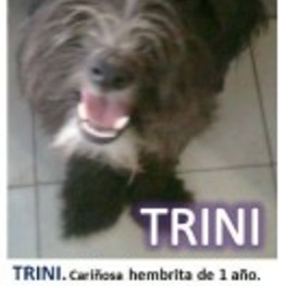 D 055c600d 5b52 494a 993a a8189c71a547