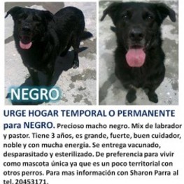 D 24d8ed19 3546 45d2 aba0 2c3bf5c906e0