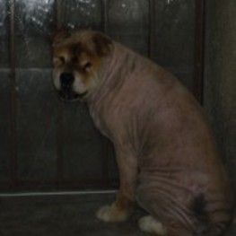 D b65dc681 8b7f 426d 8d16 7f6726c16bfc