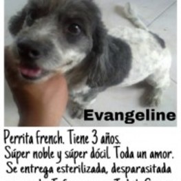 D 920ea057 40bf 4b52 99f5 c817a80b81b2