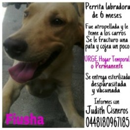 D 7927da11 67a1 4b5a 80e5 6aa9adac178d