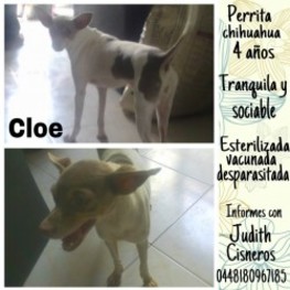 D 6b4b80bc d9d1 45cf 8e6a cac761fc8795