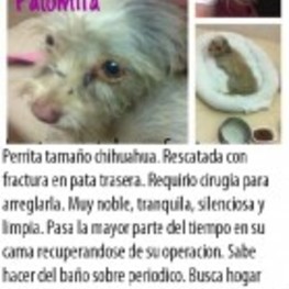 D 171f8a5f a6af 406a 83f6 2dc8e90d49d3