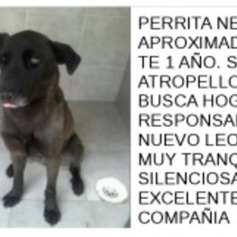 D be0a17bd bddf 4622 ad94 86cc635495e1