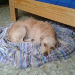 D a3f9b585 6f1f 412b 8de3 f9249aba041d