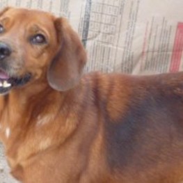 D 71c89b9c 35b1 4cb3 8d65 9d315d0b0424