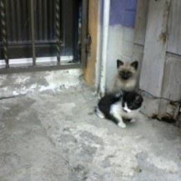 D df21b041 a4a3 45ff 98c5 5a7122fe0b24