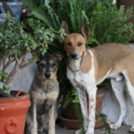 D f08b16f4 aa98 4671 82ca 083dfab3ce3d