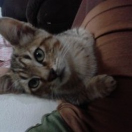 D 1e4c7af6 31e0 4905 aa01 437c5c4add31