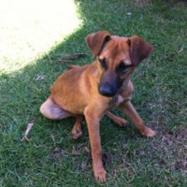 D 1d7d0d7b e5e4 4100 8b39 608bda79bf7f