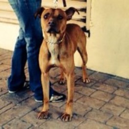 D 0c021bad cc0e 46ea b8d2 70649142759f