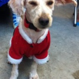 D b2682b20 1d5a 492b b06e 5d7a88bb92f1