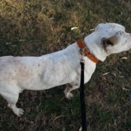 D d58b83bf c151 4428 8757 be5cd0253c4e