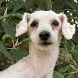 D 7dbc2f3a 7aca 4897 9e60 b3d227ca7902